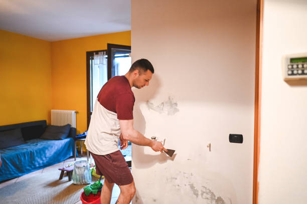 Best Toxic Mold Removal  in Delta, OH